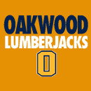 Sponsor Image